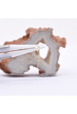 BVLA Perdita 16g Charm Cable Chain 14k Gold