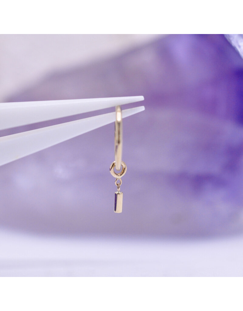 BVLA Zuko Charm 14k Gold 16g 0.8mm Diamond