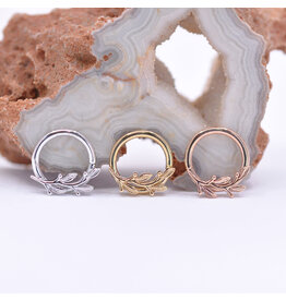 BVLA Amity 14k Gold 16g 5/16" Seam Rings