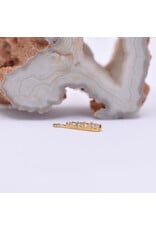 BVLA Grad 5 16g Charm CZ 14k Yellow Gold