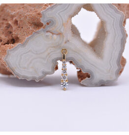 BVLA Grad 5 16g Charm CZ 14k Yellow Gold
