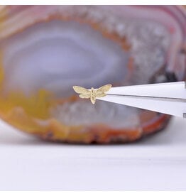 Phoenix Revival Dead Head Moth Threadless End Yellow Gold 10x5