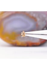 Phoenix Revival Third Eye Threaded End Rose Gold 16g