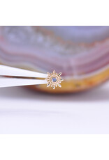BVLA Mini Compass 16g Threaded End 14k Yellow Gold Rainbow Moonstone
