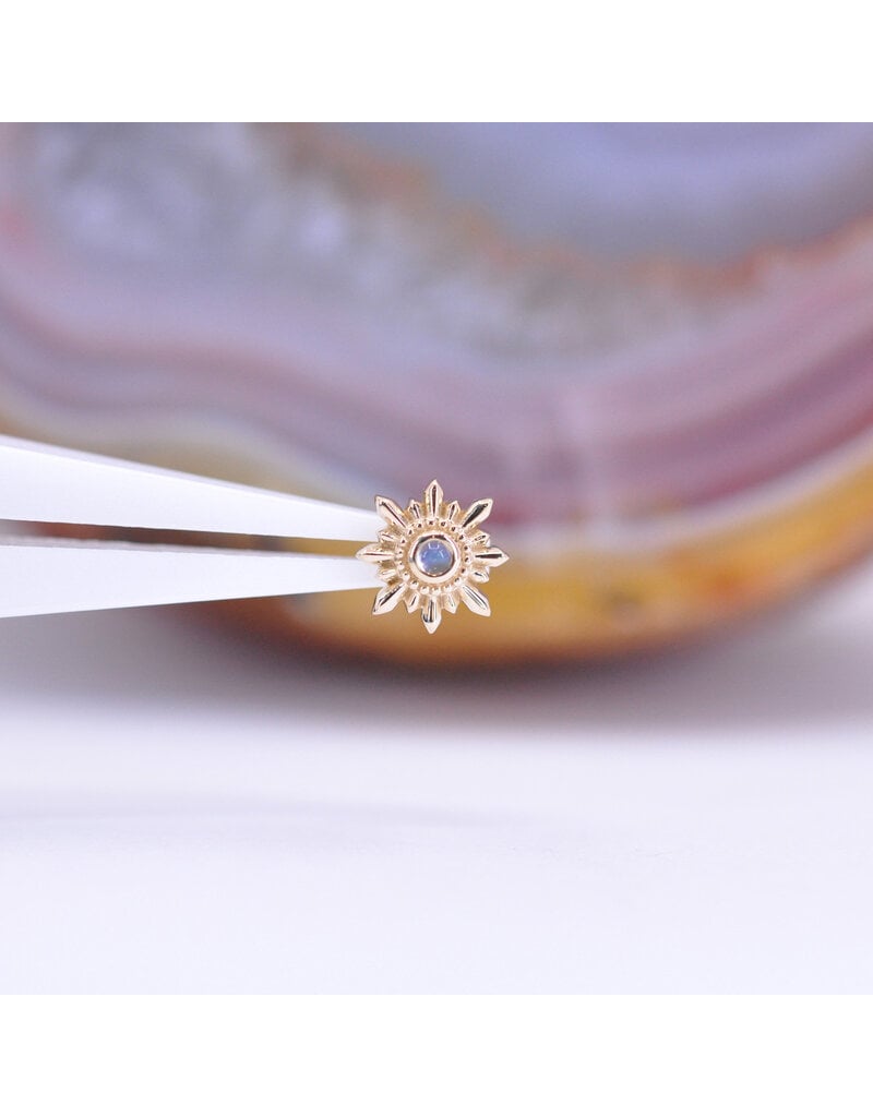 BVLA Mini Compass 16g Threaded End 14k Yellow Gold Rainbow Moonstone