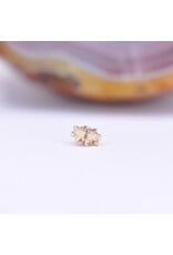 BVLA Mini Compass 16g Threaded End 14k Yellow Gold Rainbow Moonstone