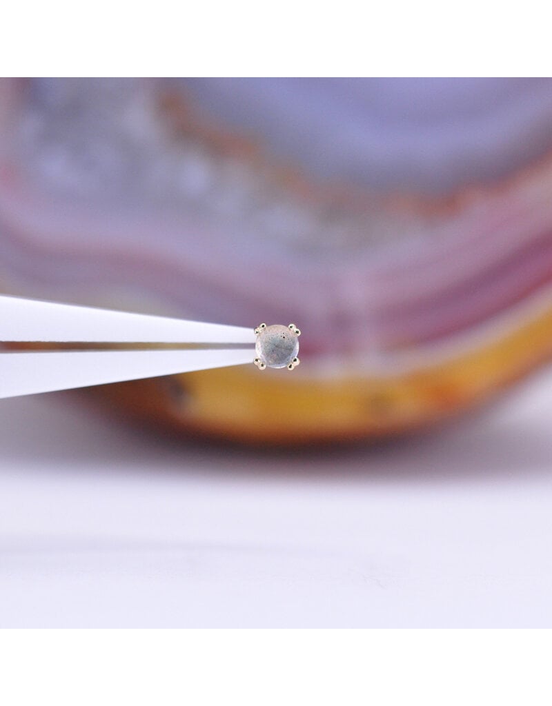BVLA 3mm Cabochon Prong Threadless End 14k Yellow Gold Rose Cut Labradorite