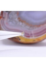 BVLA V Prong Marquise Cabochon Threadless End 14k Yellow Gold Rose Cut Labradorite 4x2mm