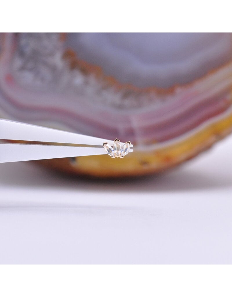 BVLA Marquise Fan Threadless End 14k Yellow Gold Faceted Rainbow Moonstone