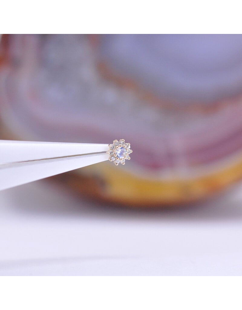 BVLA Tiniest Rose Threadless End 14k Yellow Gold Diamond and Faceted Rainbow Moonstone