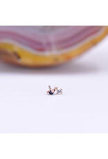 BVLA Duet Cabochon Prong 16g Threaded End 14k Rose Gold Rose Cut Amethyst(2.5mm) and Diamond(2mm)