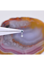 BVLA Duet Cabochon Prong 16g Threaded End 14k White Gold Rose Cut Swiss Blue Topaz(2.5mm) and Diamond(2mm)