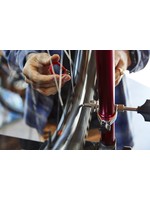 Wheel True Labor Starting At