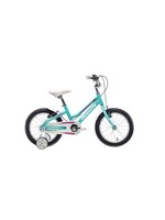 Bianchi XR16