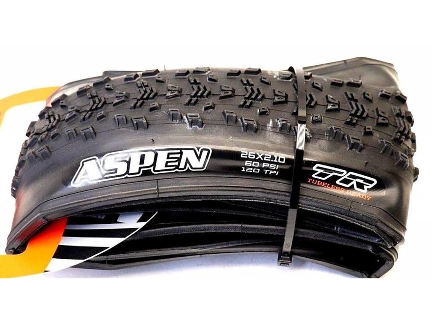 Maxxis Ignitor Exo antibodic Protection