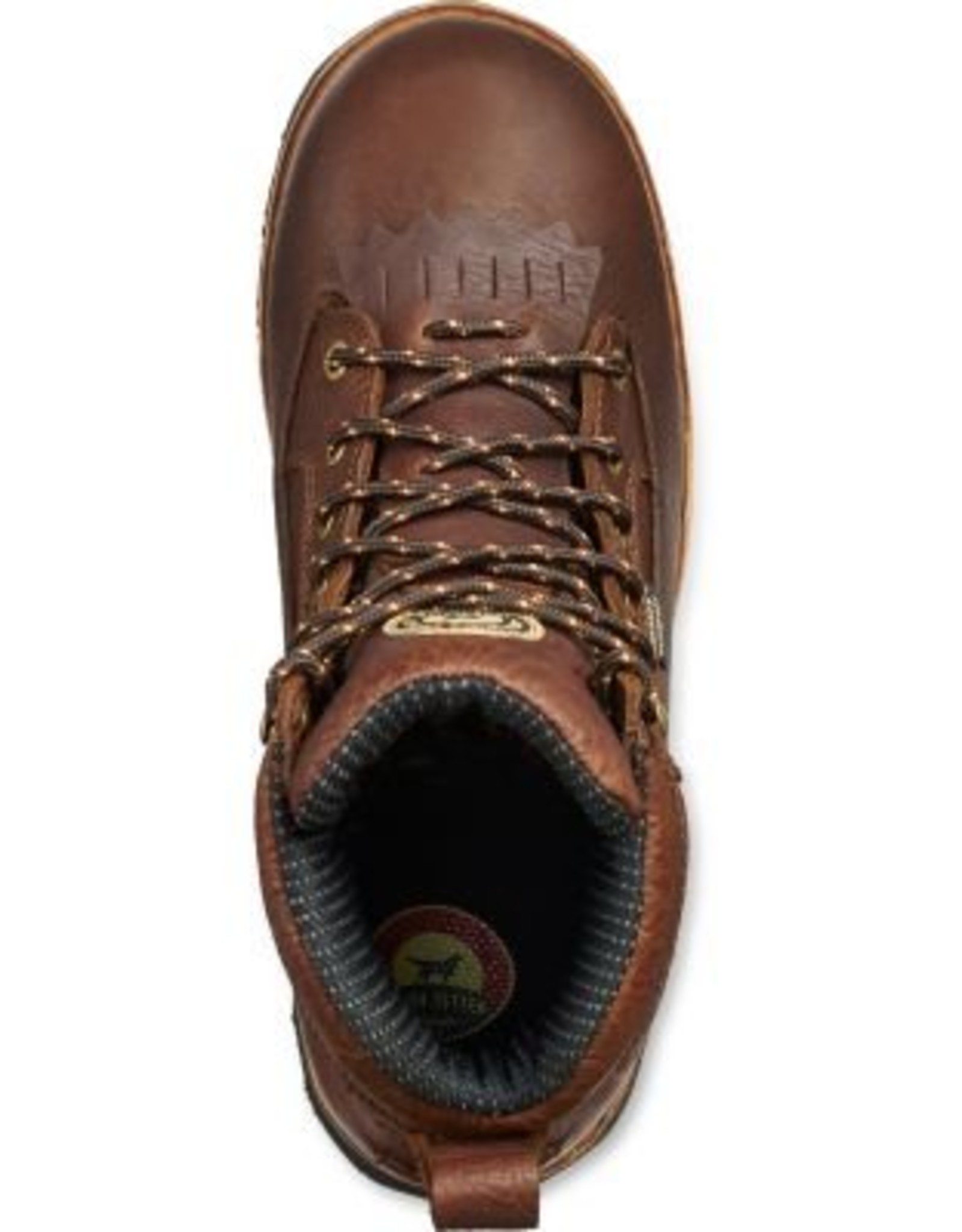 irish setter 867