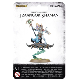 Games Workshop Disciples Tzeentch | Tzeentch Arcanites Tzaangor Shaman