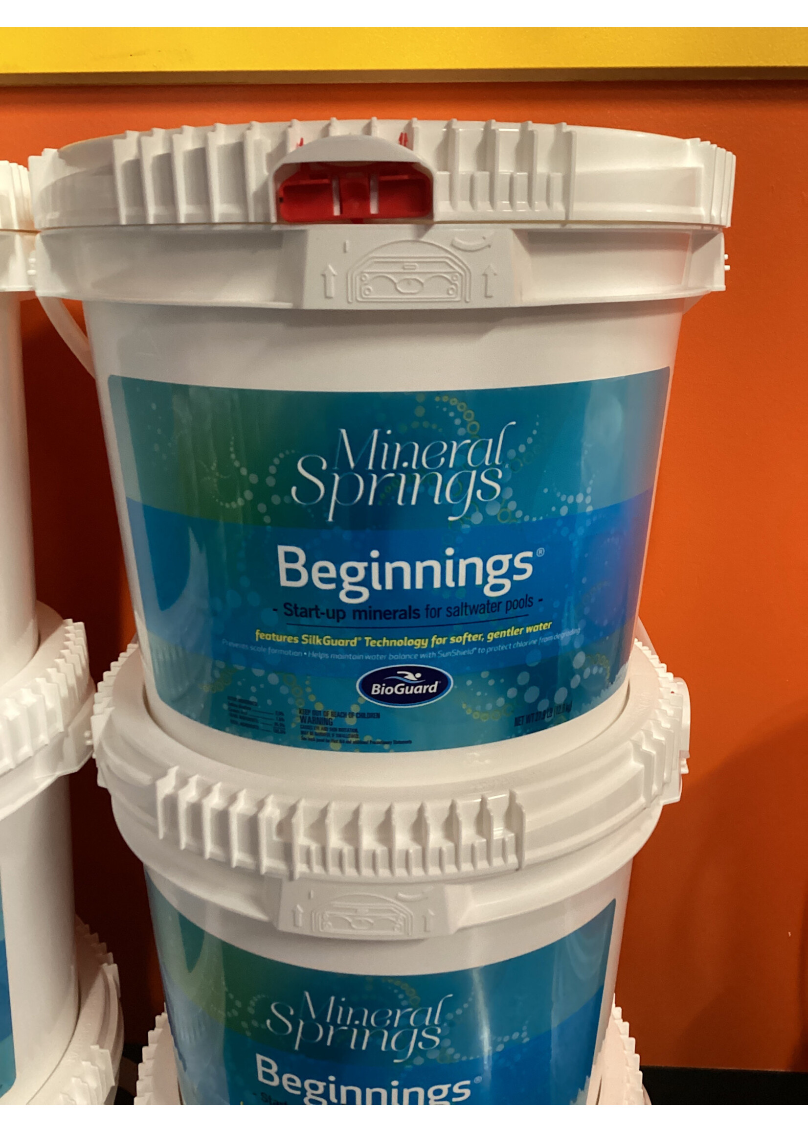 MINERAL SPRINGS BEGINNINGS