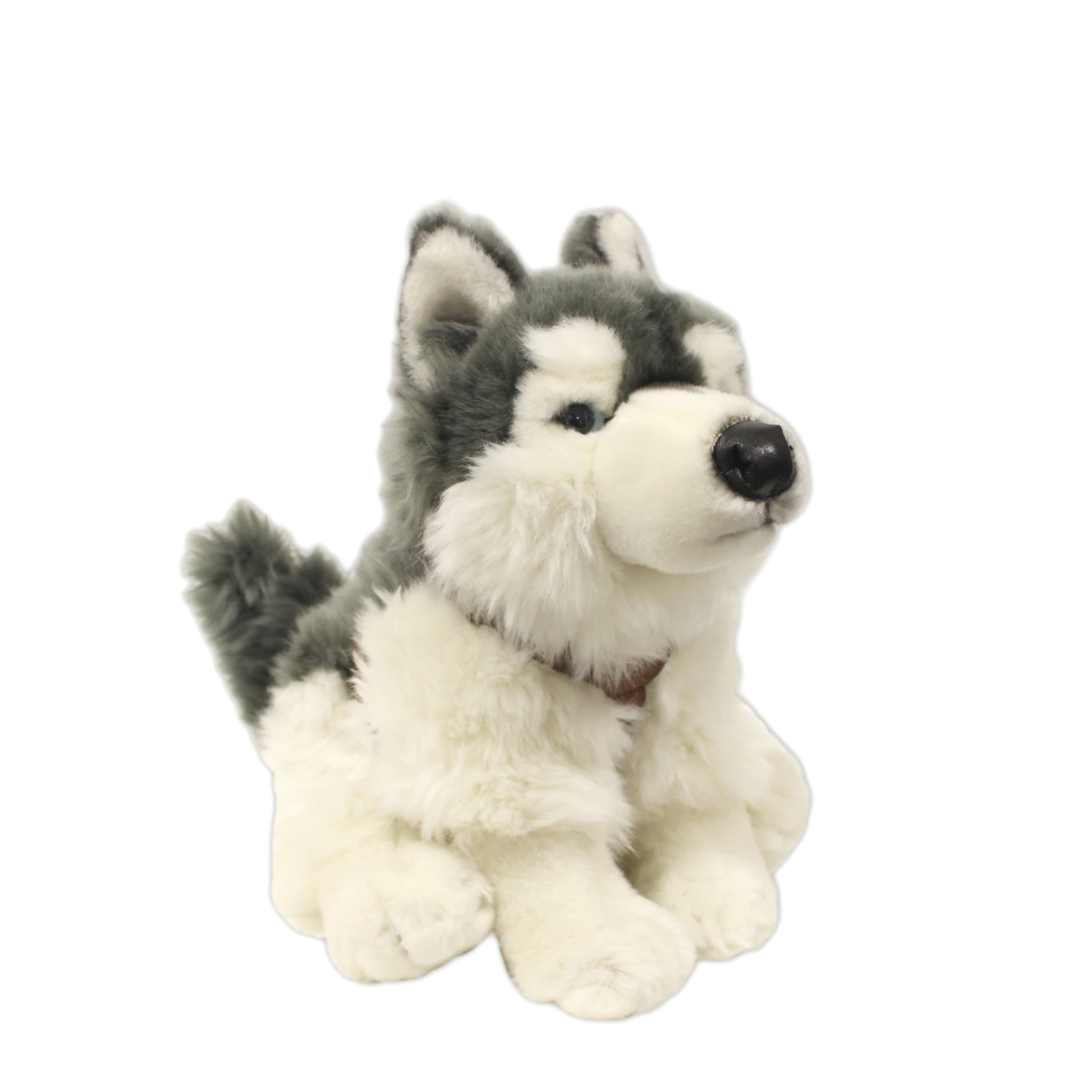 Ocean Wise Husky