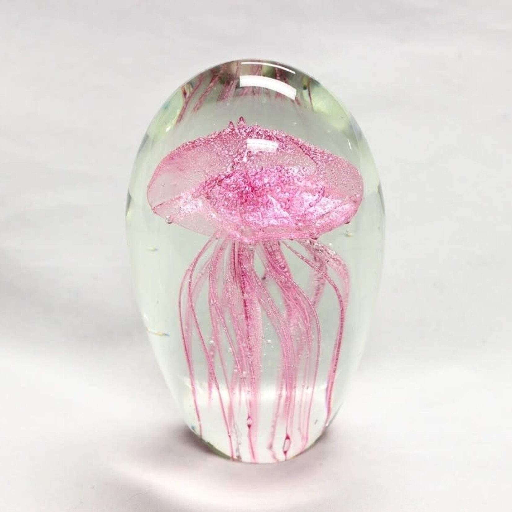 Ocean Wise Glass Jelly Glow Mini 4x6