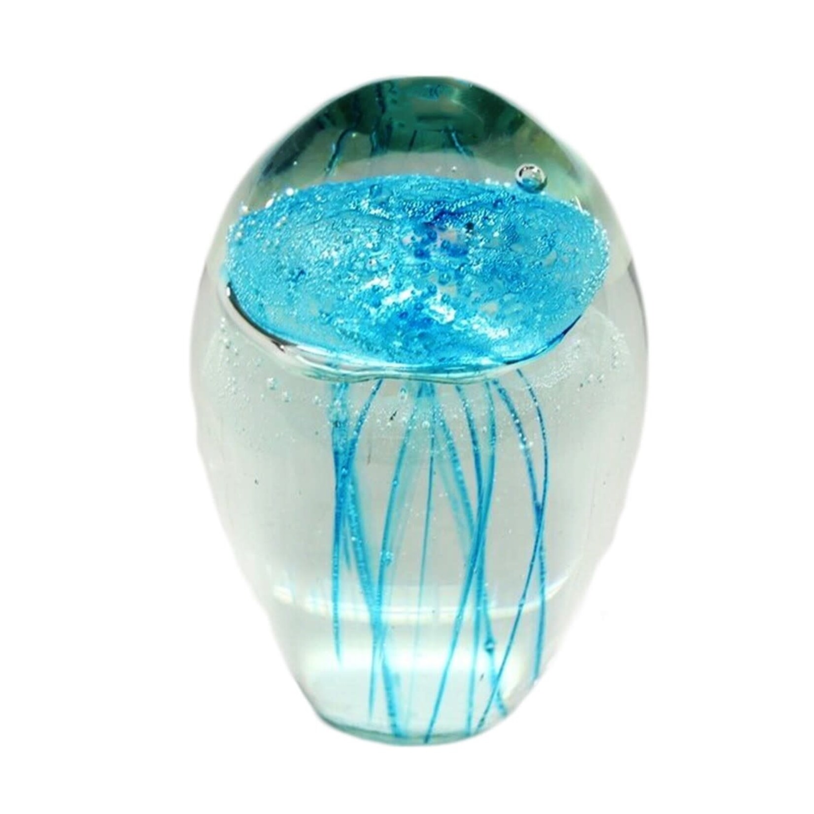 Ocean Wise Glass Jelly Glow Mini 4x6