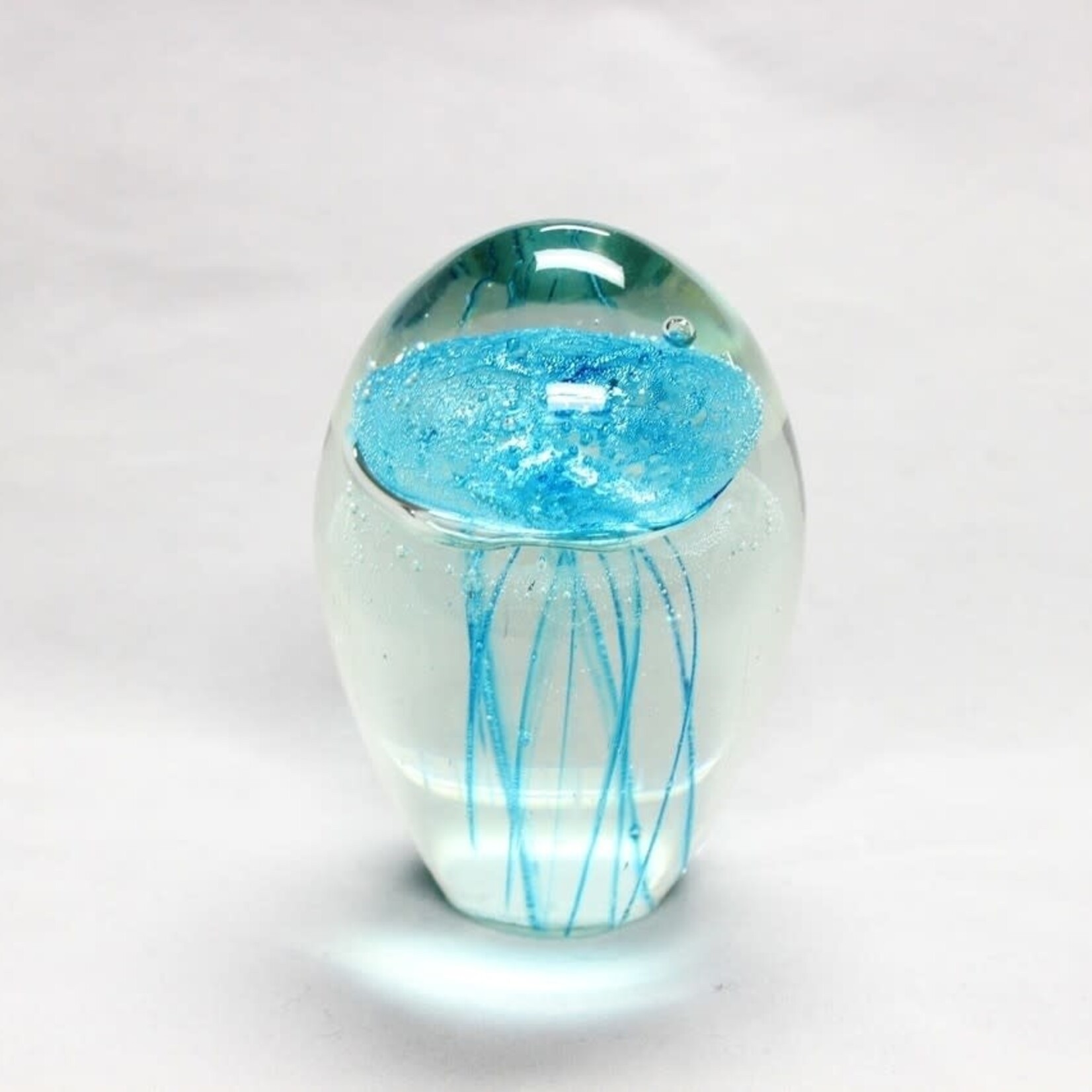 Ocean Wise Glass Jelly Glow Mini 4x6