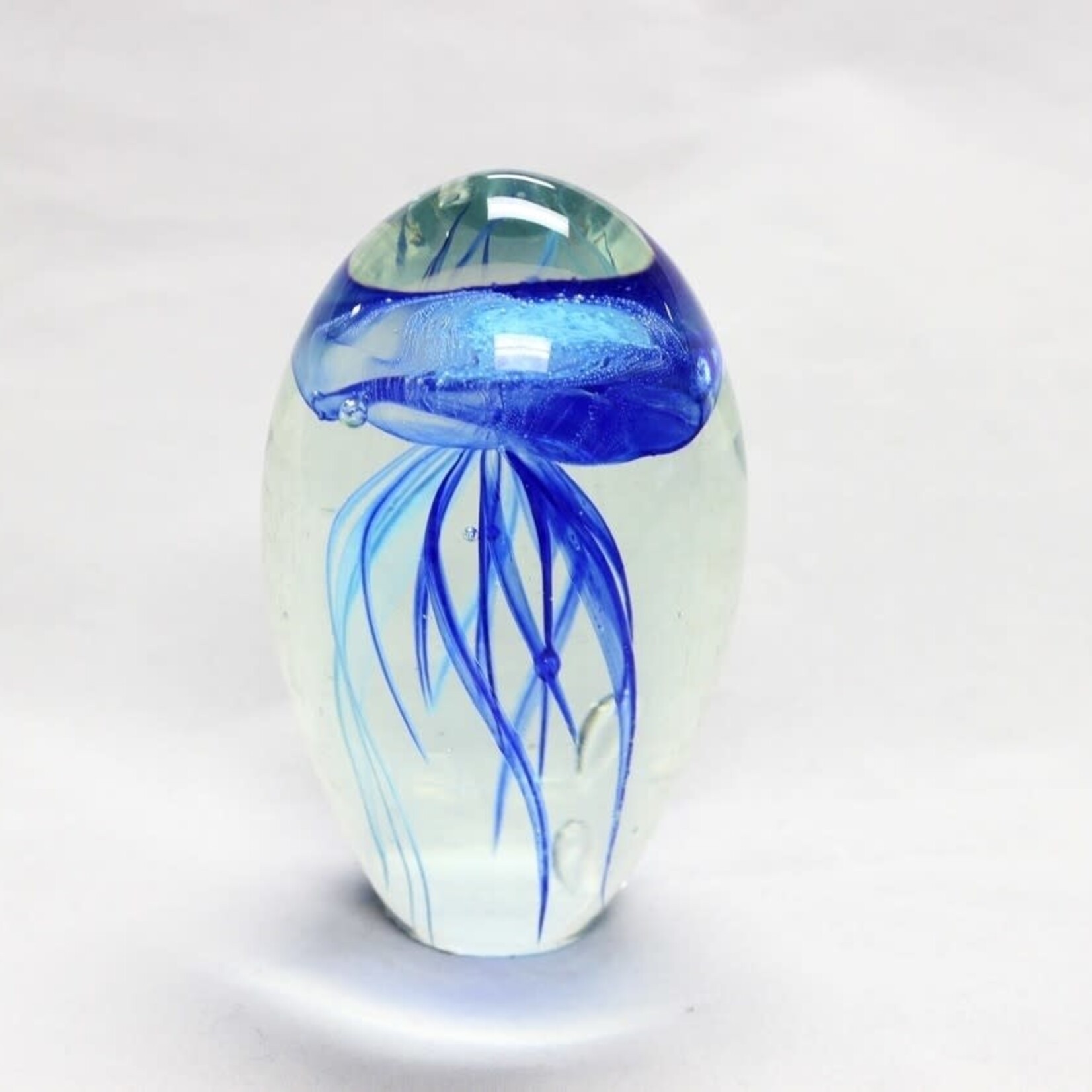 Ocean Wise Glass Jelly Glow Mini 4x6
