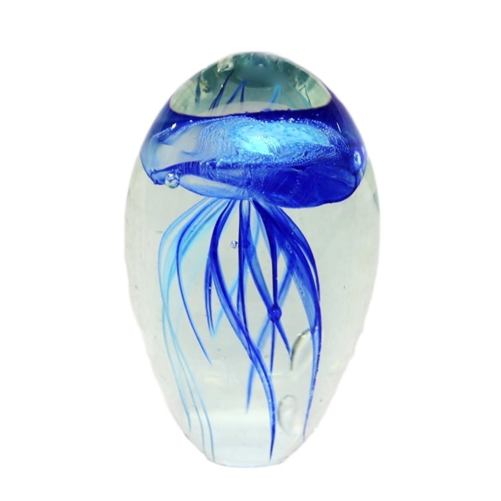 Ocean Wise Glass Jelly Glow Mini 4x6