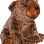 Ocean Wise Brown Bear