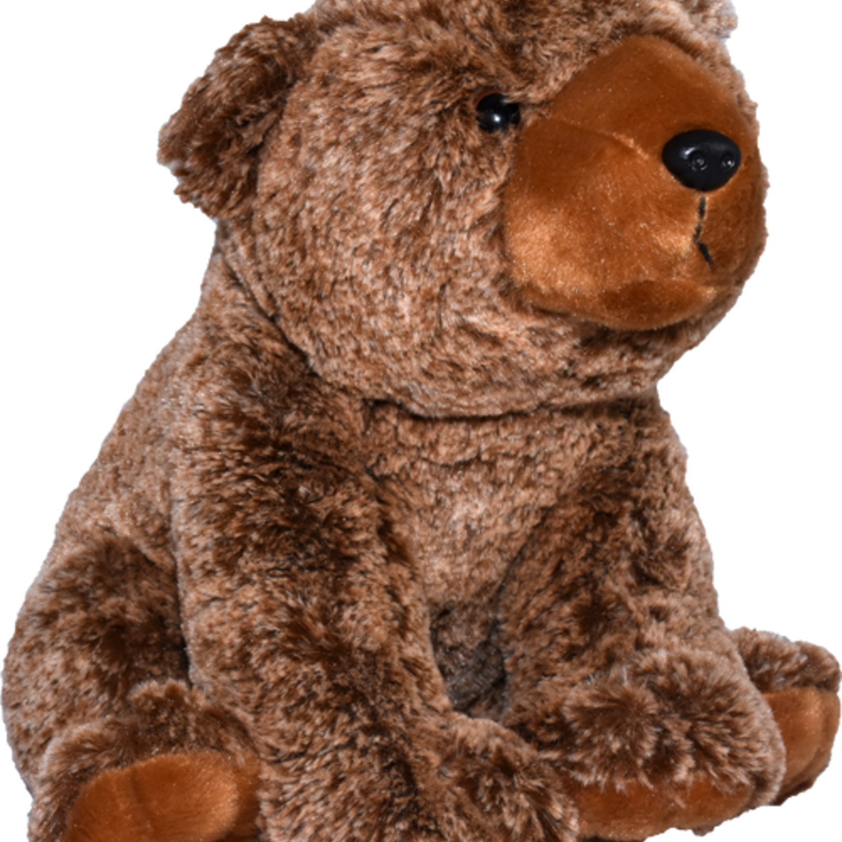 Ocean Wise Brown  Bear