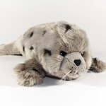 Ocean Wise Harbour Seal