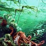 Mark Hobson Art Card  Octopus: Going With The Flow