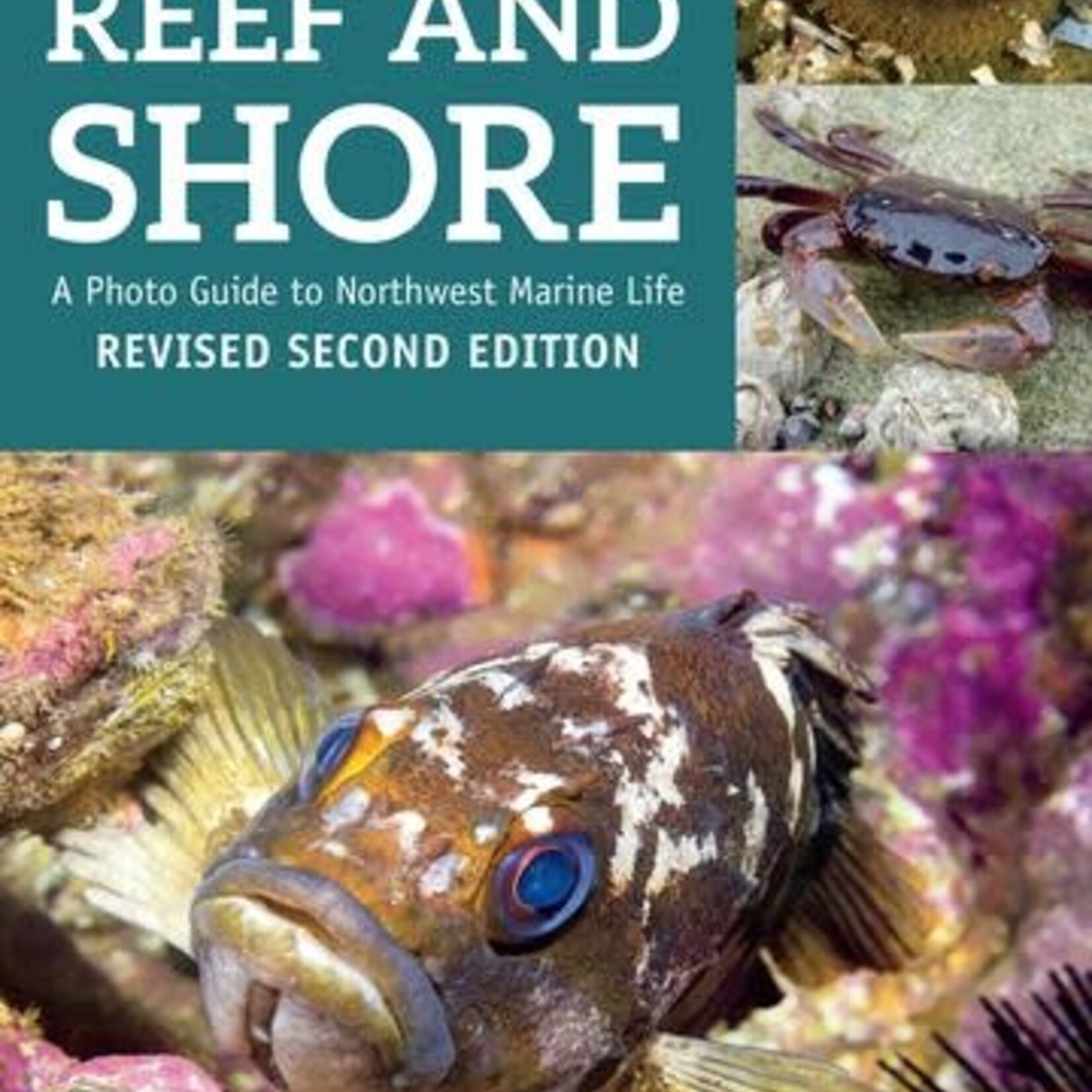 Harbour Publishing Pacific Reef + Shore