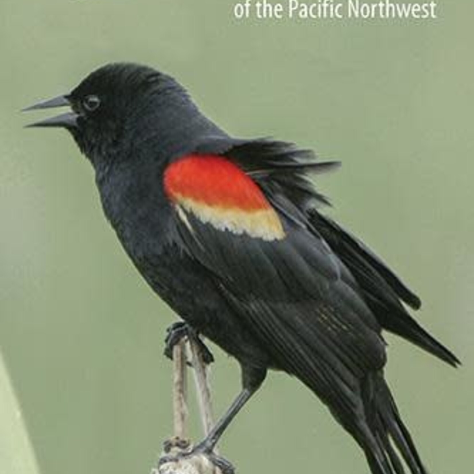 Harbour Publishing Field Guide Birds of the PNW