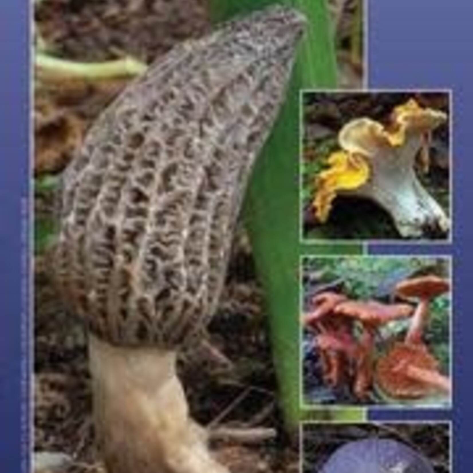 Harbour Publishing Field Guide Edible Mushrooms PNW