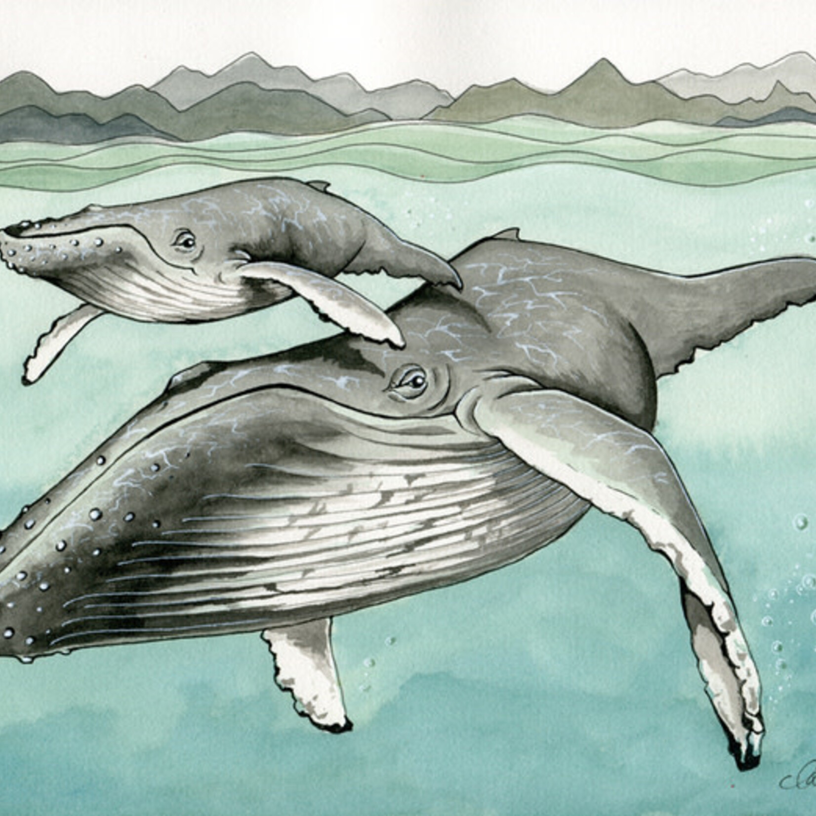 Claire Watson humpback print claire watson 11 x 14