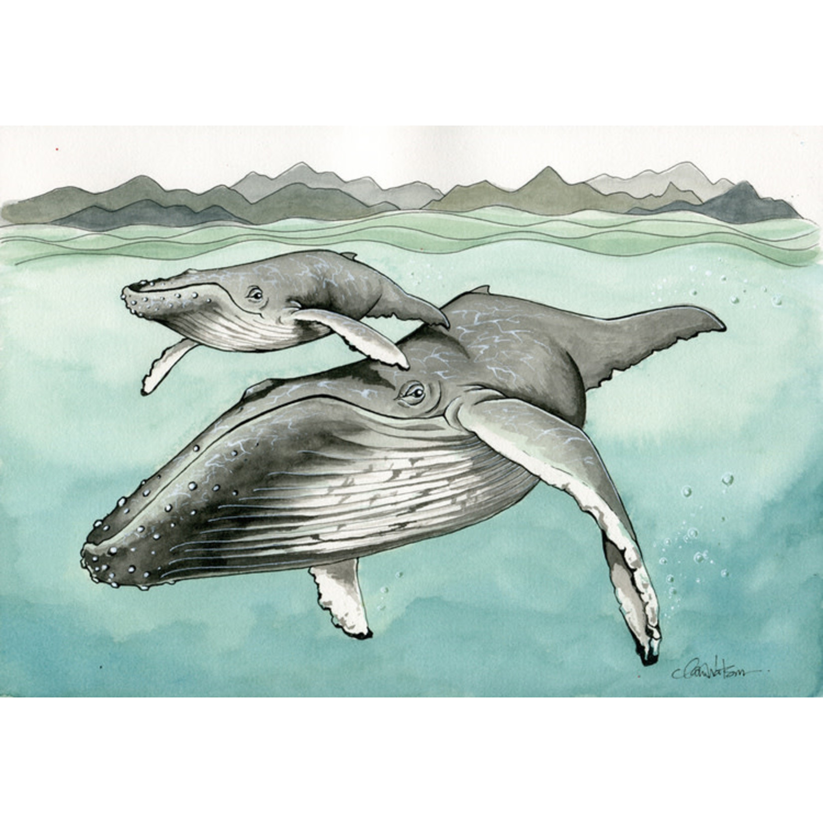 Claire Watson humpback print claire watson 11 x 14