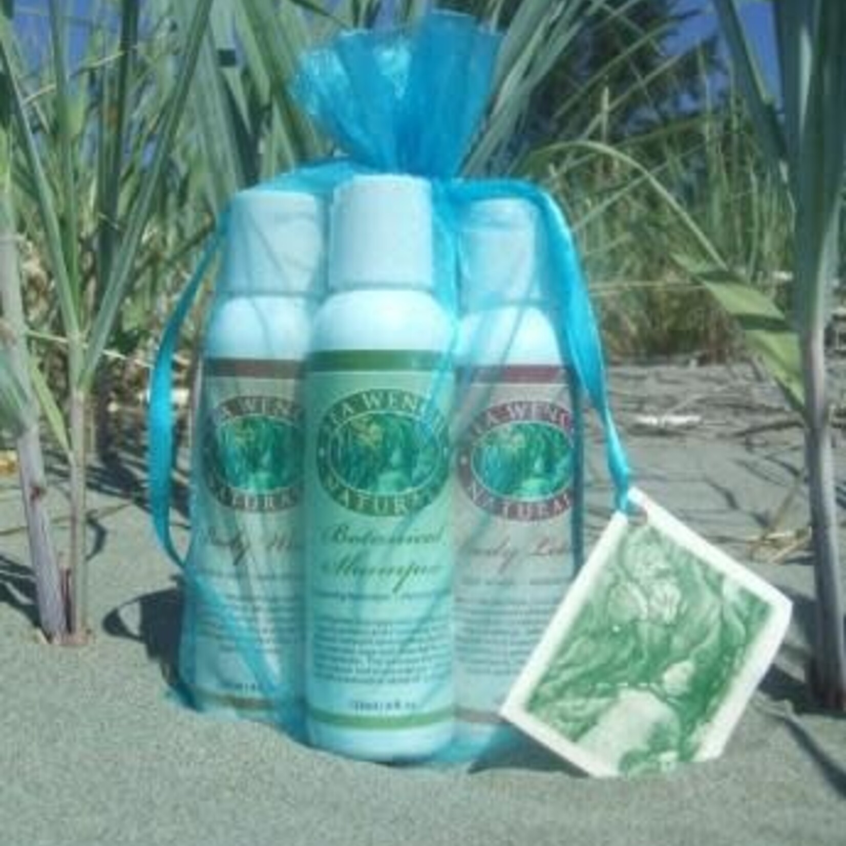 Sea Wench Travel Pack