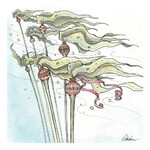 Claire Watson Card Jingle Kelp