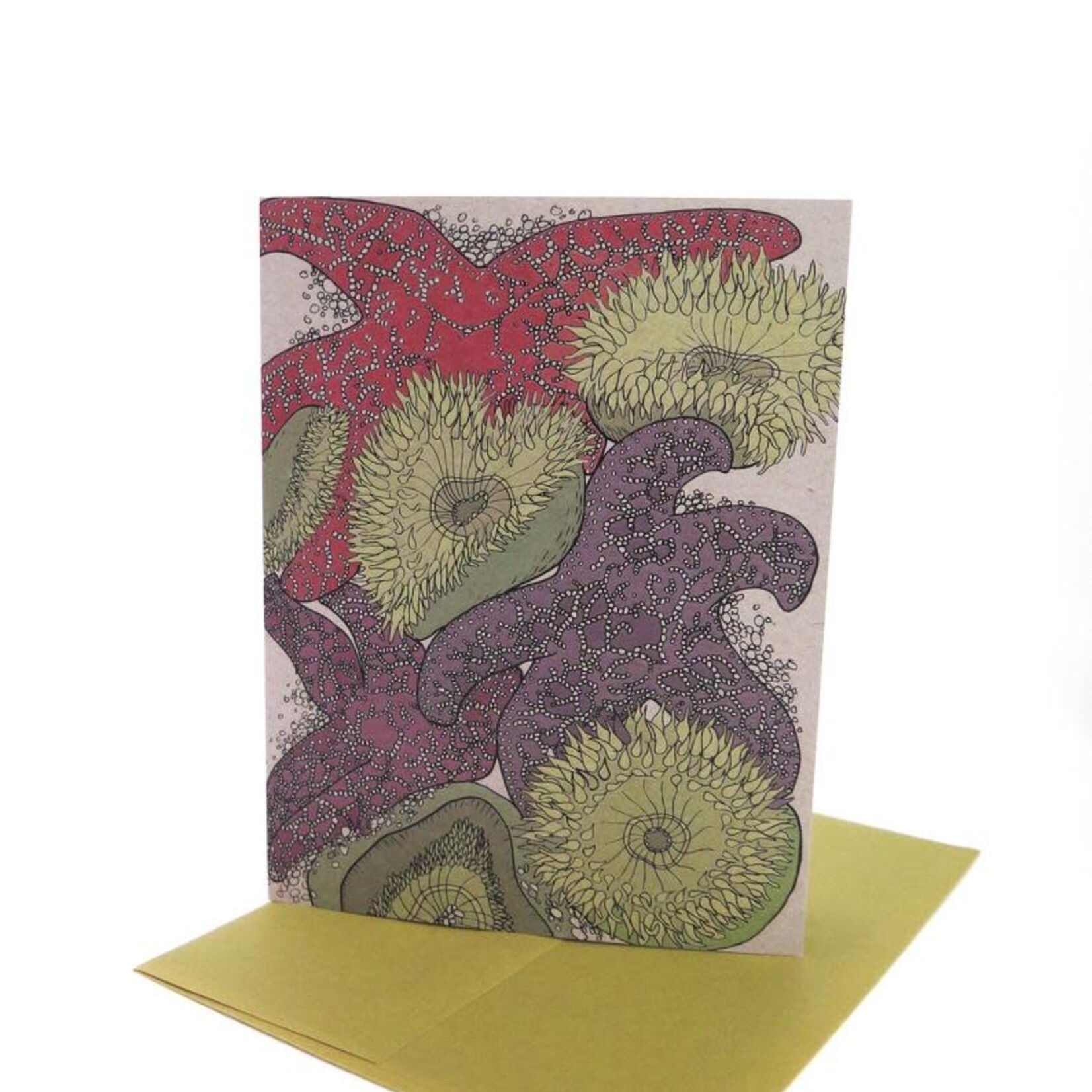 Wild Life Starfish Card