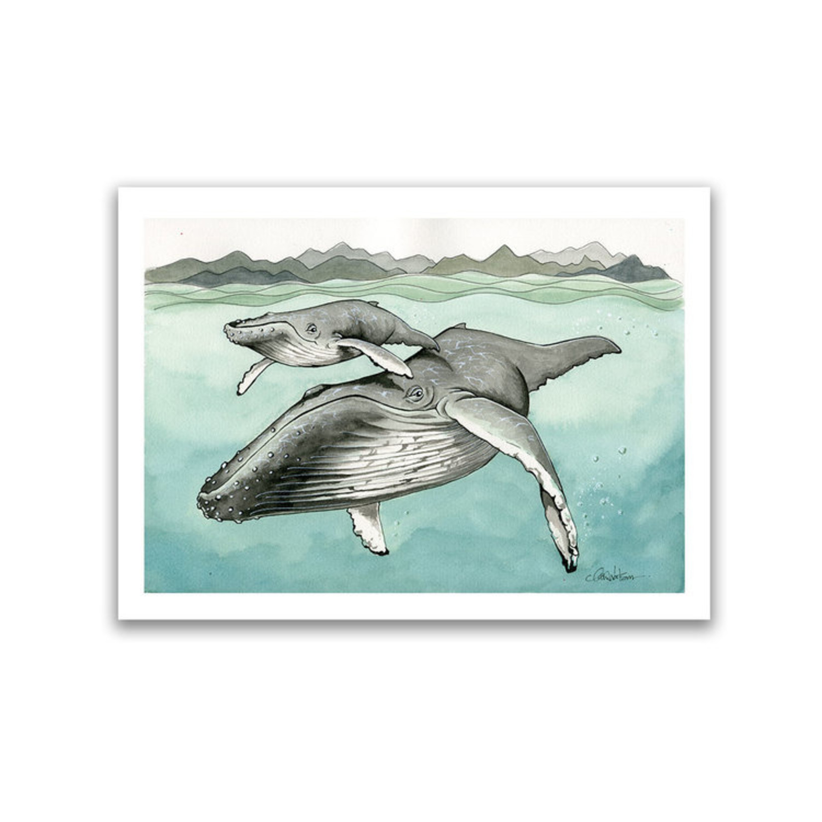 Claire Watson humpback print claire watson 11 x 14