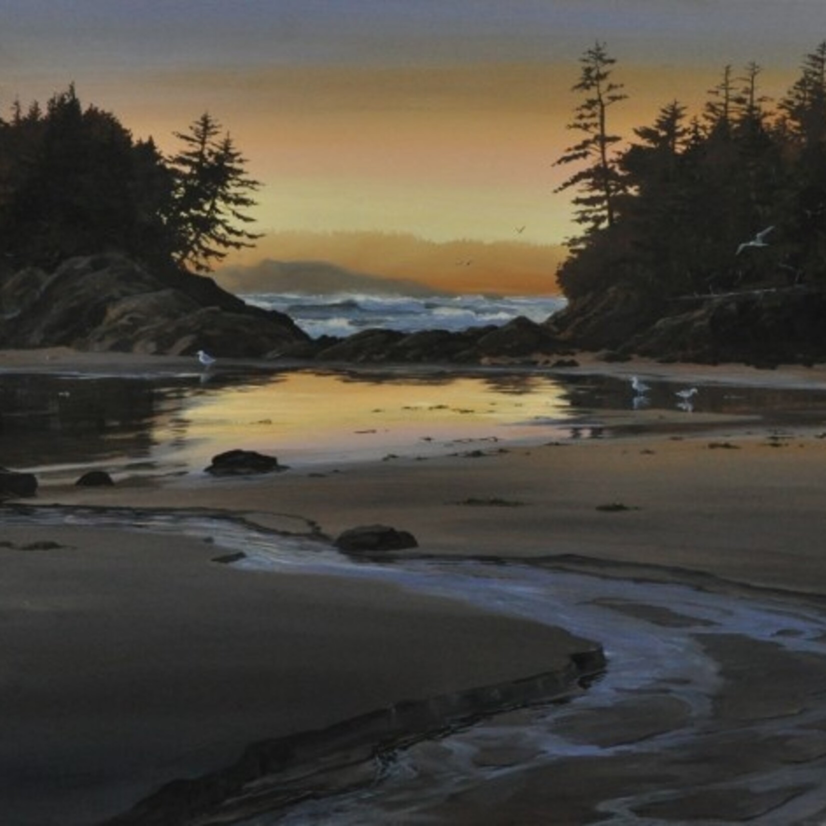 Mark Hobson Art Card Crystal Cove