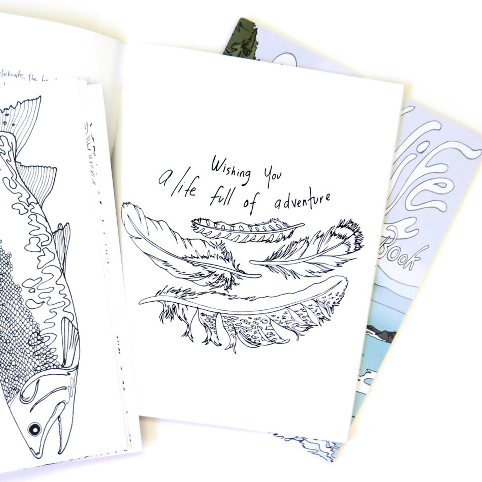 Wild Life Colouring Book