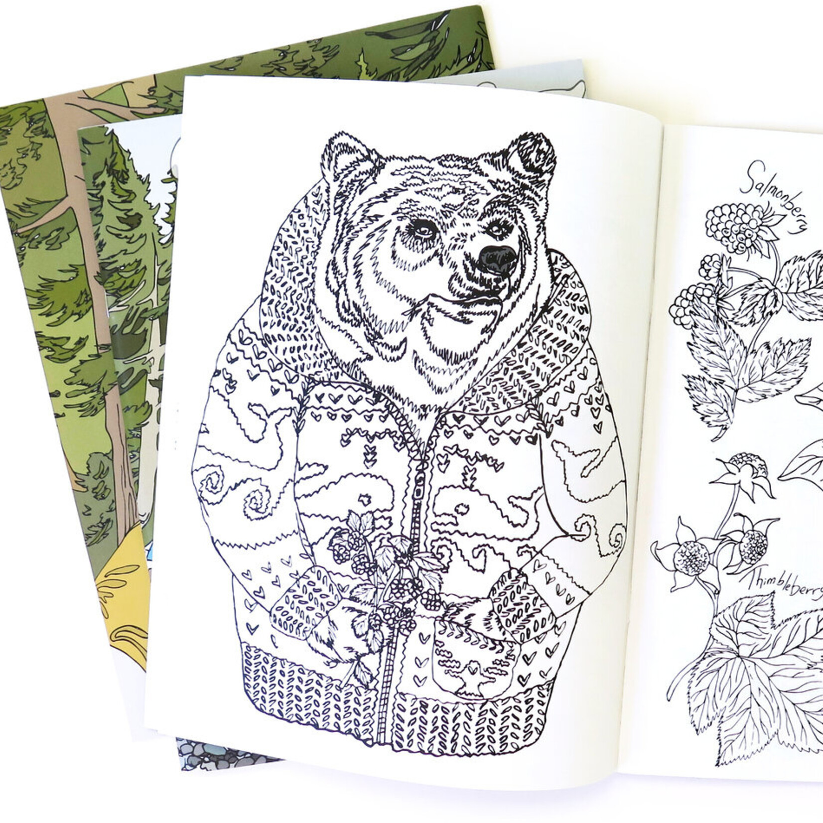 Wild Life Colouring Book