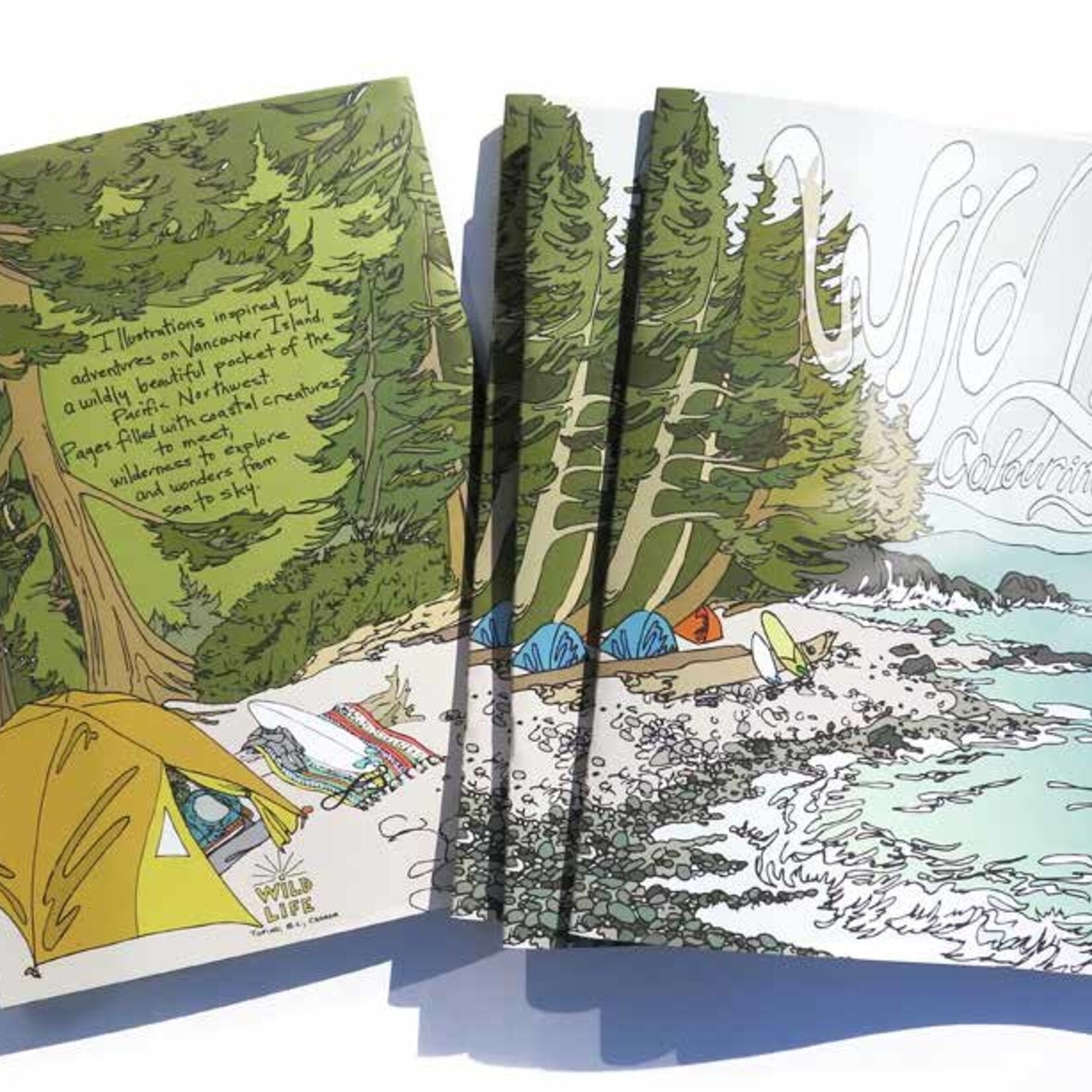 Wild Life Colouring Book