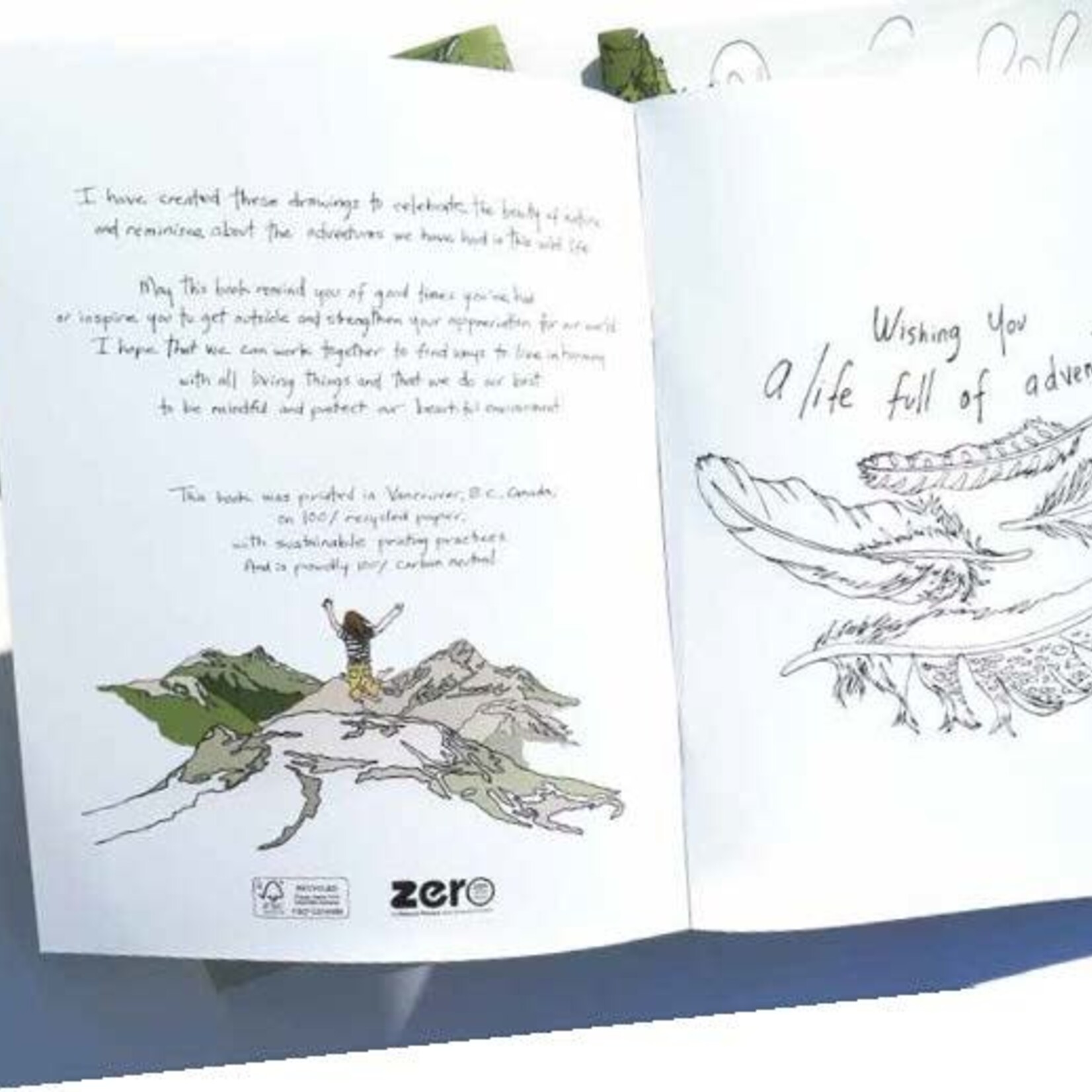 Wild Life Colouring Book