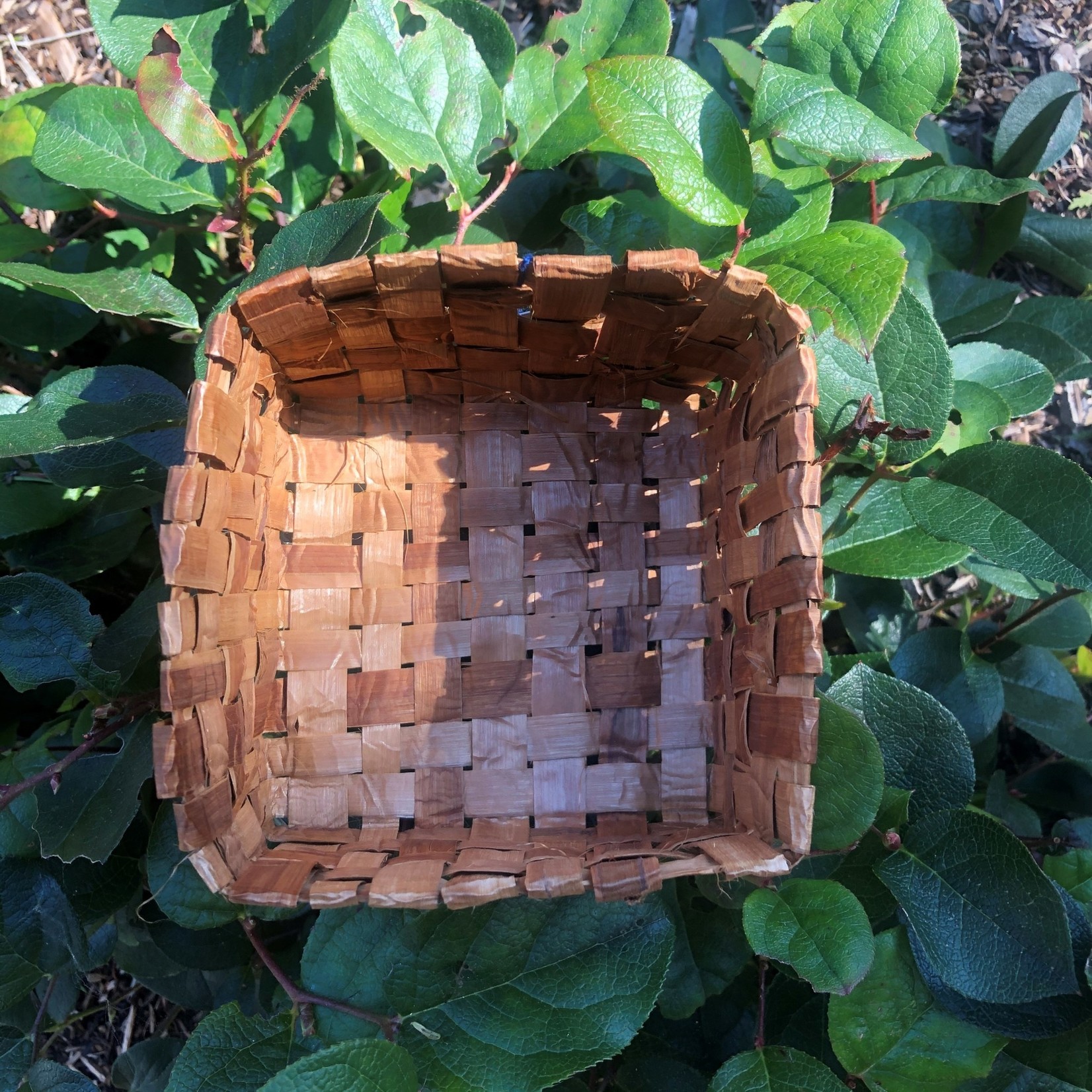 Elizabeth George Cedar Woven Basket