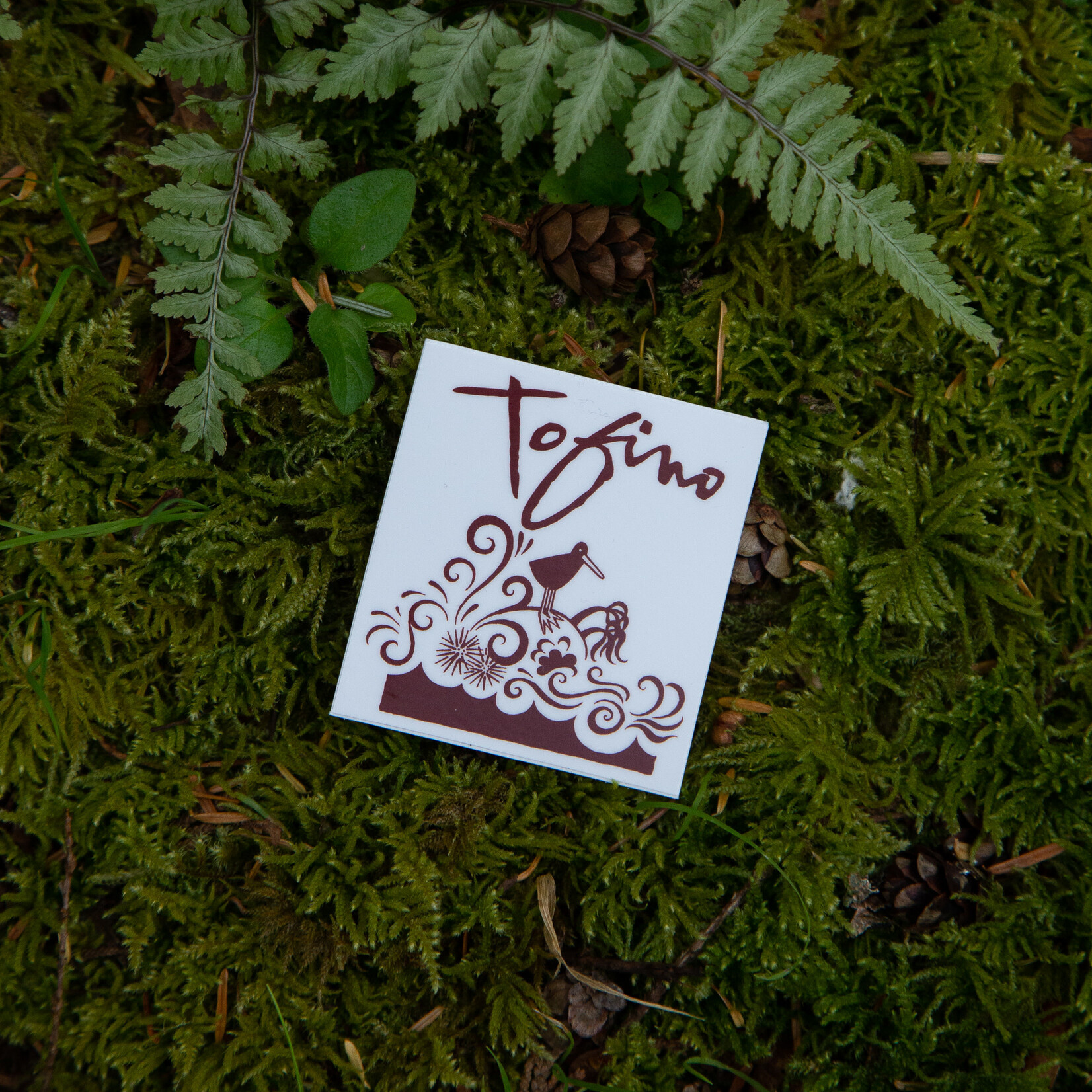 Tourism Tofino Tofino Bird Sticker 3 x 3