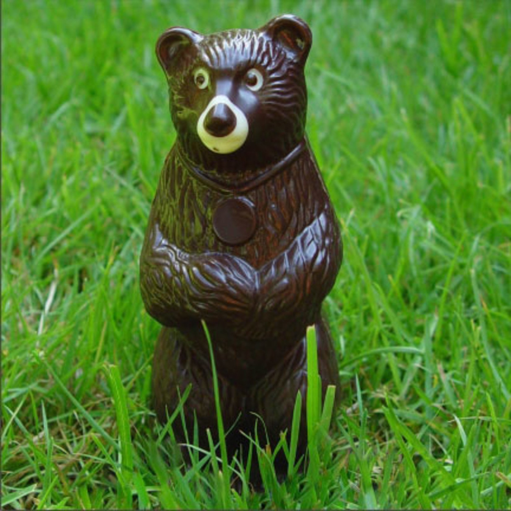 Chocolate Tofino Milk Chocolate Tofino Bear