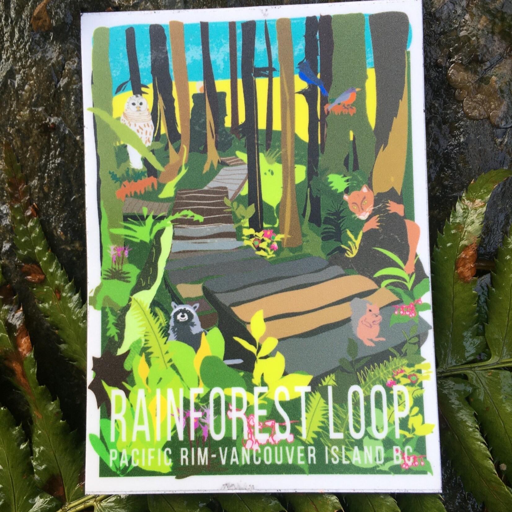 Heyduck Art Rainforest  Magnet Heyduck